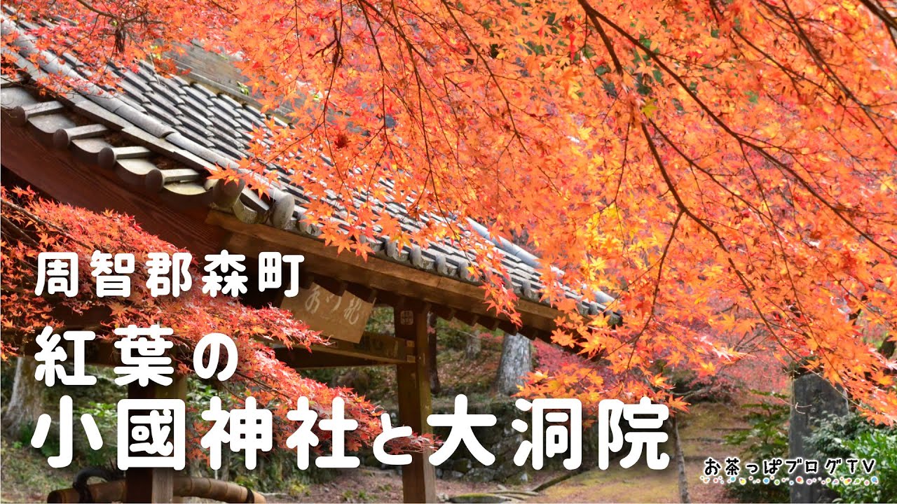遠州森町・小國神社と大洞院の紅葉を見に行こう