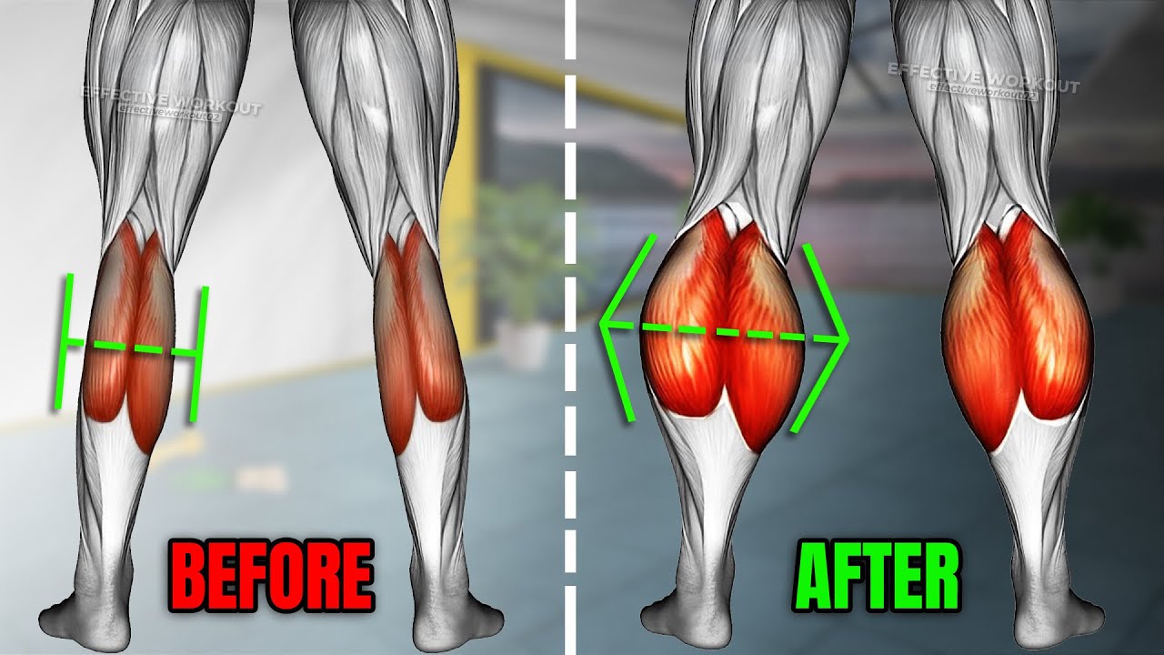 5 Best Calf Exercises You Can Do to Get Big Calves Workout
