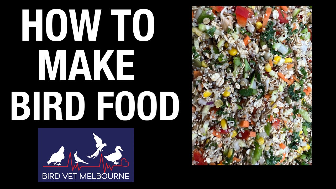 How To Make Bird Food - Chop Recipe at Bird Vet Melbourne