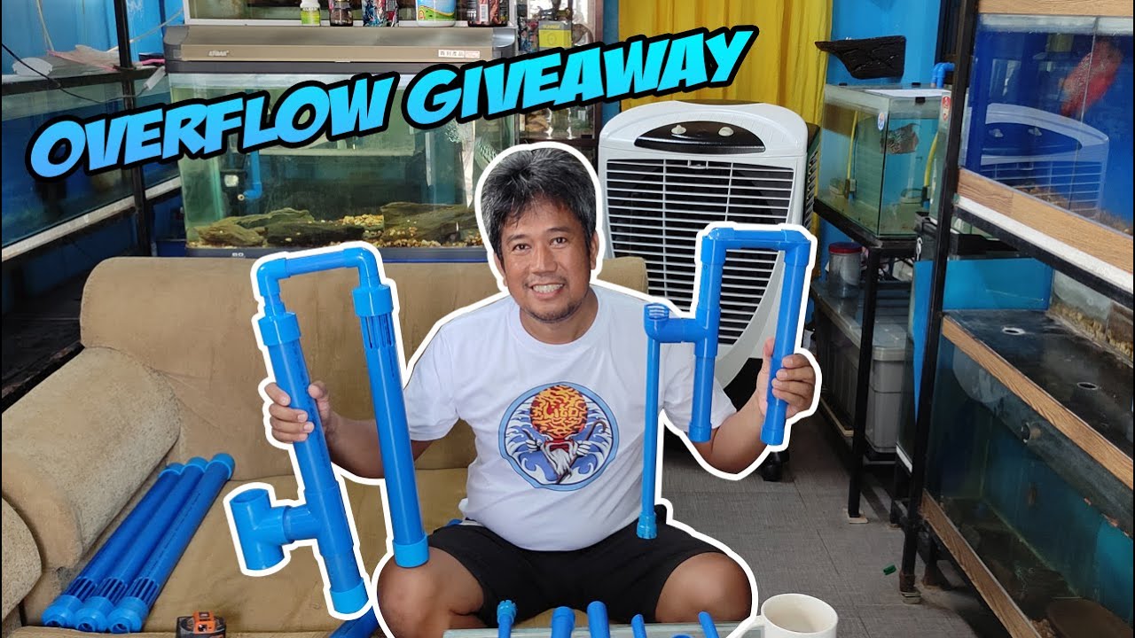 Overflow for Small $ Monster Tank GIVEAWAY