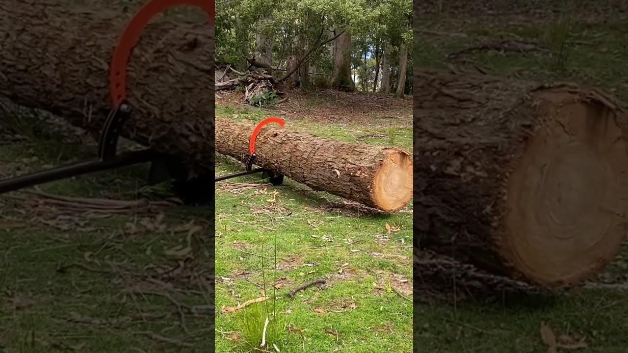 Tazzy Devil log lifter / log roller