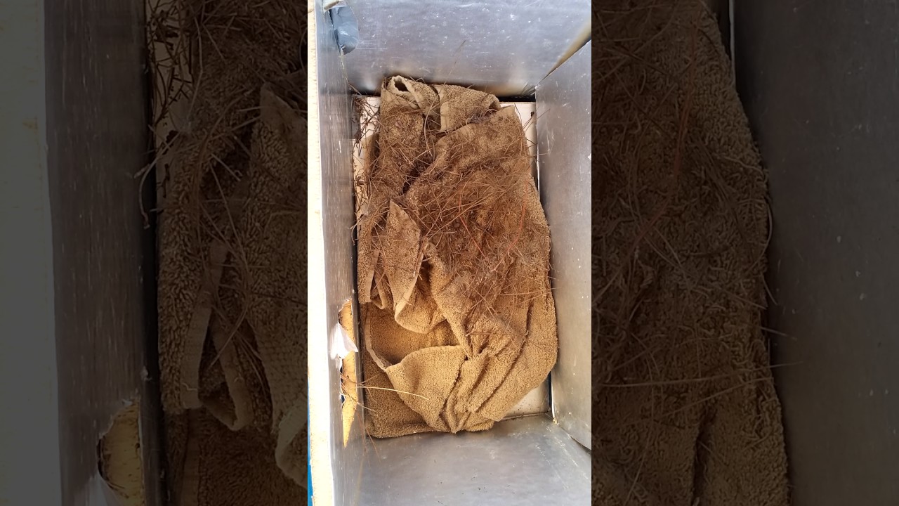 Cheap and Easy Outdoor Cat Shelter!
