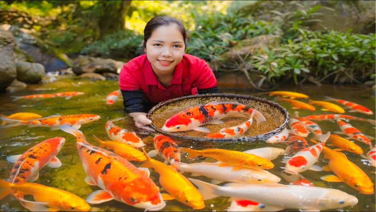 Catching Beautiful Koi Fish & Harvesting Juicy Golden Coconuts for the Local Market🌿🥥💖