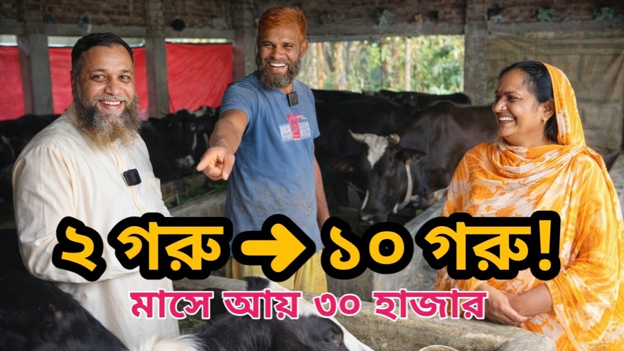 বিদেশ ফরৎ ২ গরু দিয়ে শুরু,এখন ১০ গরুর খামার! দিনে ৪০ লিটার দুধে আয় ৩০ হাজার|Shinhaagro