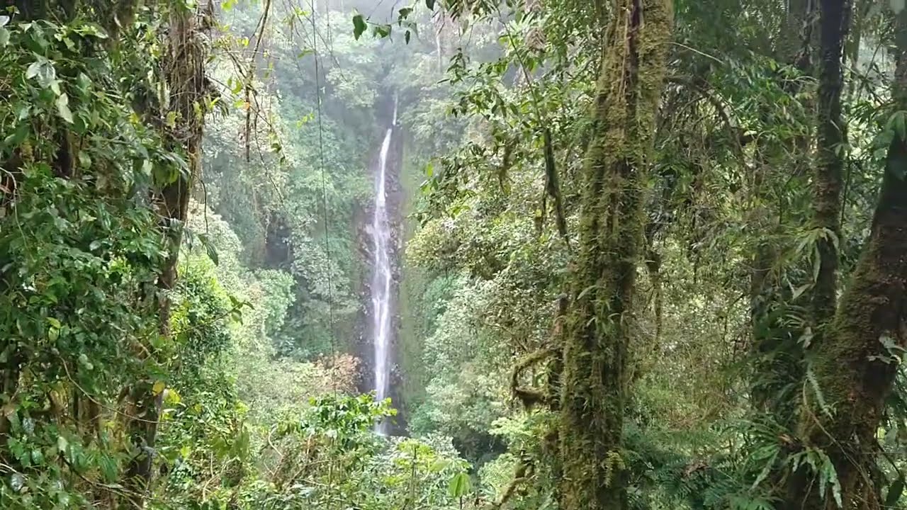 Picoverde Natural Waterfall