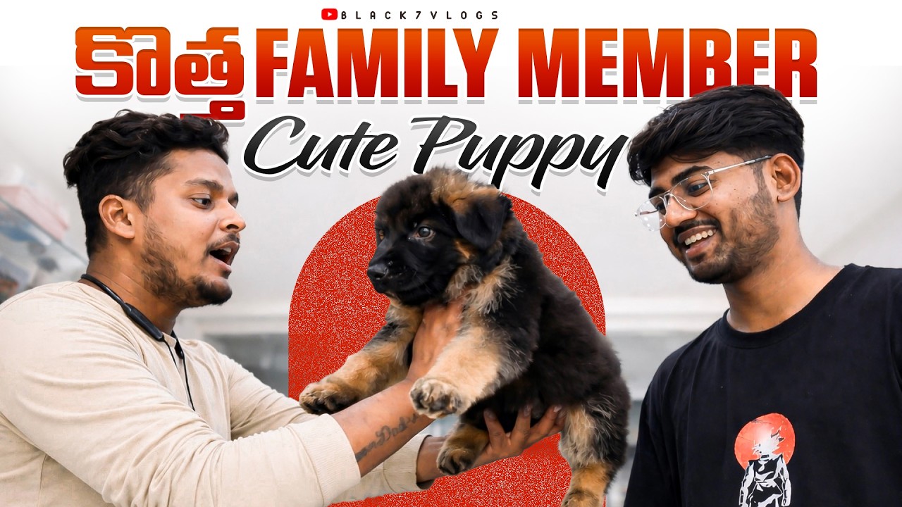 మా ఇంటికి కొత్త German Shepherd Puppy 🐶 | New Family Member ❤️