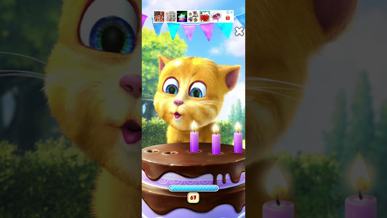 Talking Ginger | • Celebrate Birthday 🎂 •
