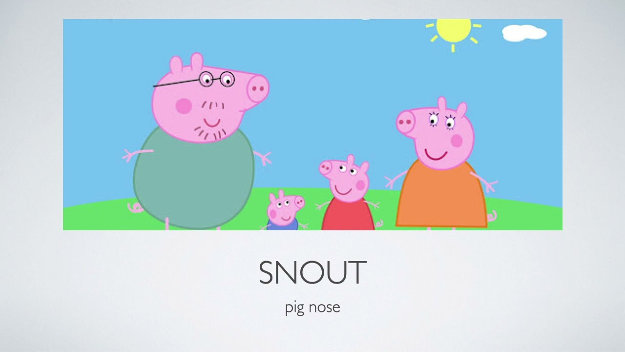 English Definition - Snout