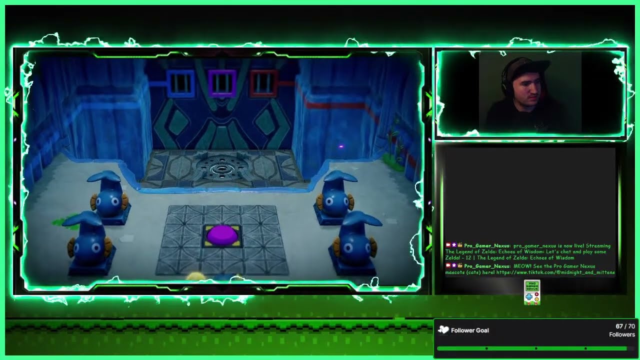 Let's chat and play some Zelda! - 12 | The Legend of Zelda: Echoes of Wisdom
