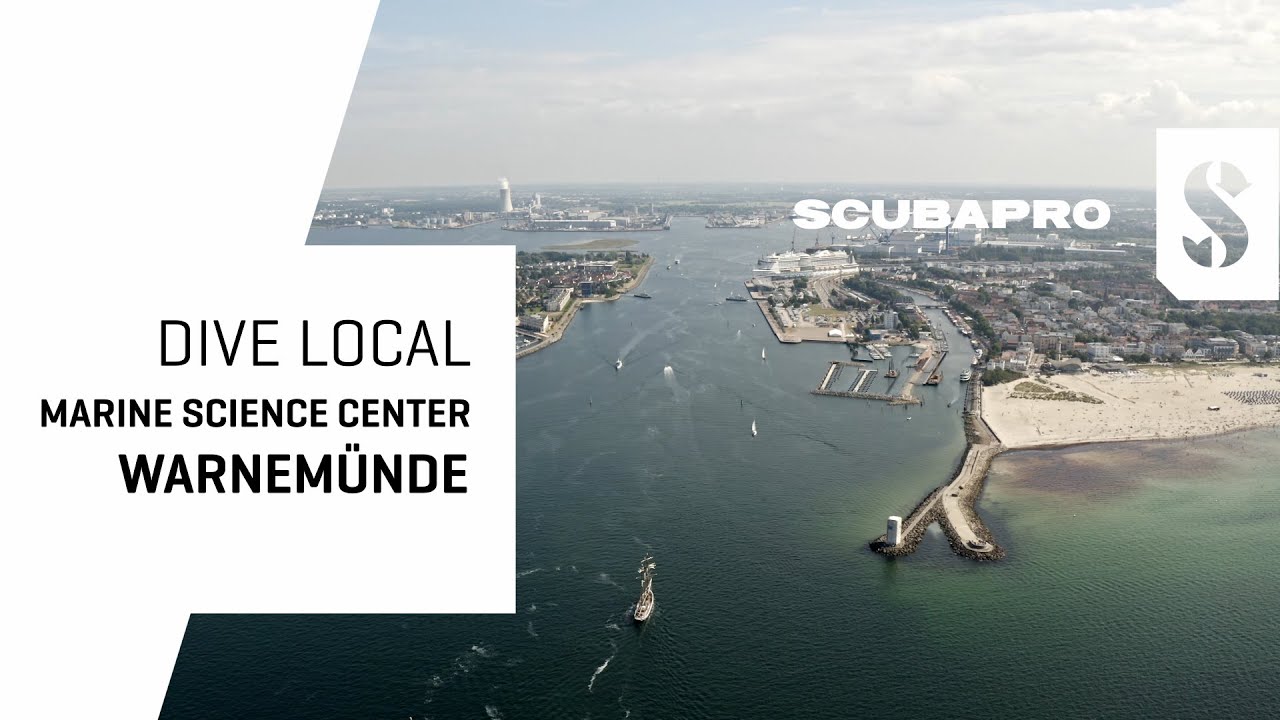 Dive Local Germany: Tauchen mit Robben in Warnemünde mit SCUBAPRO