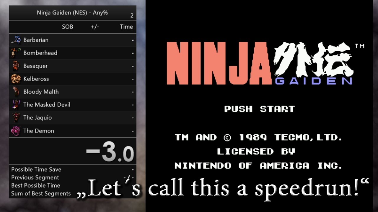 Ninja Gaiden (NES) 