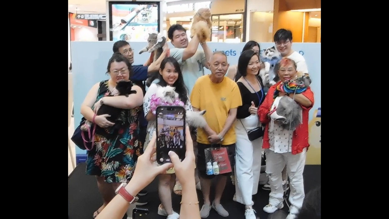 2026 03 14 Purrtown Day 1 Best Dressed Cat Contest
