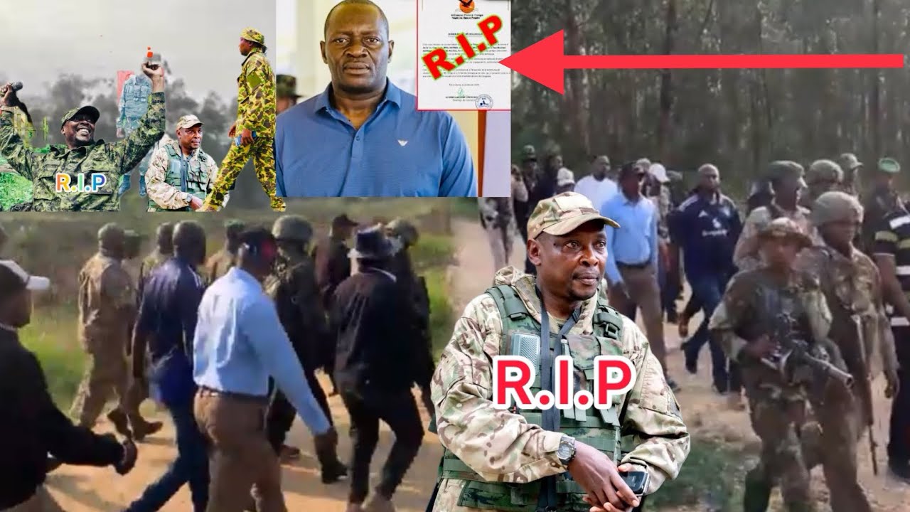 🚨NYUMA YOKWICWA KWA COL . WILL NGOMA  UNVA IBYO M23  YASINYE.   /R.I.P AFAND 😭💔