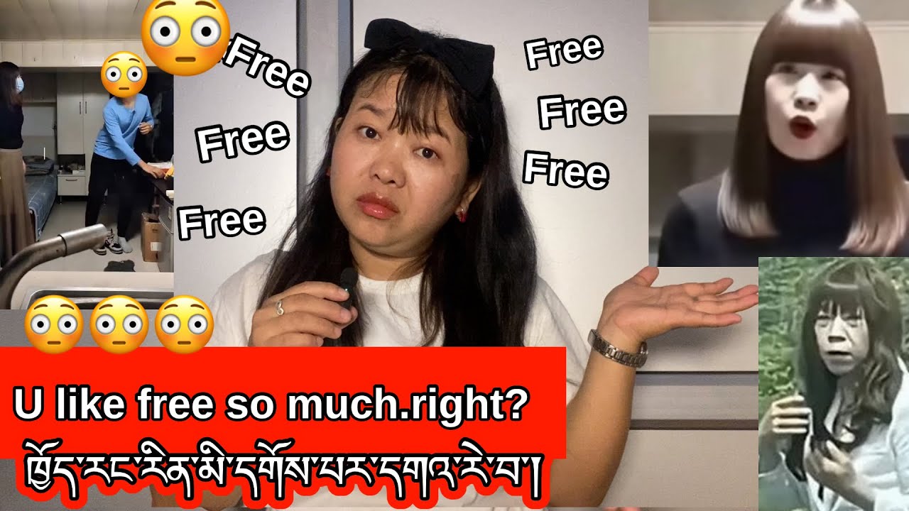 You like free so much.Right?😳😳😳 #tibetanvolgger #tibetanyoutuber #bawalhamo 