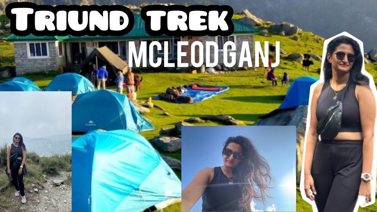 Triund Trek Mcleodganj | Full informative video| Moderate Trek