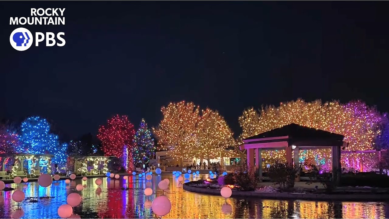 Blossoms of Light at the Denver Botanic Gardens