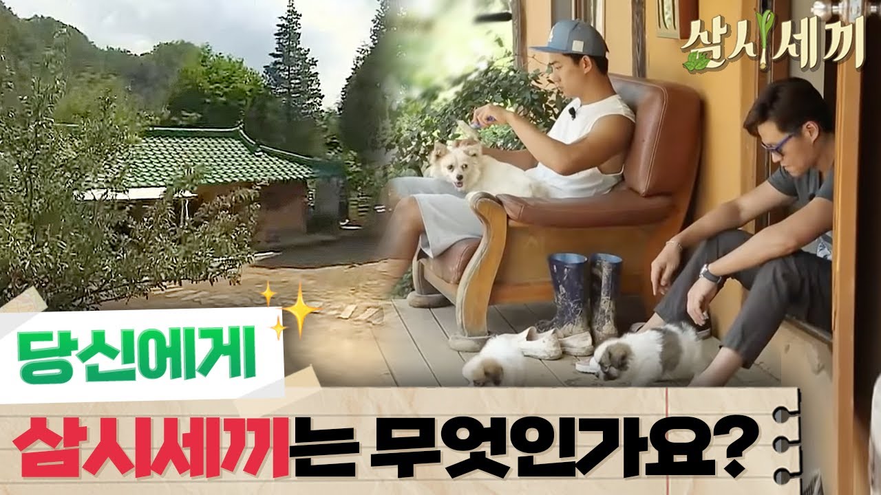 [#삼시세끼정선편] 사소한 것에 행복할 수 있었던, 삼시세끼와 함께했던 시간들