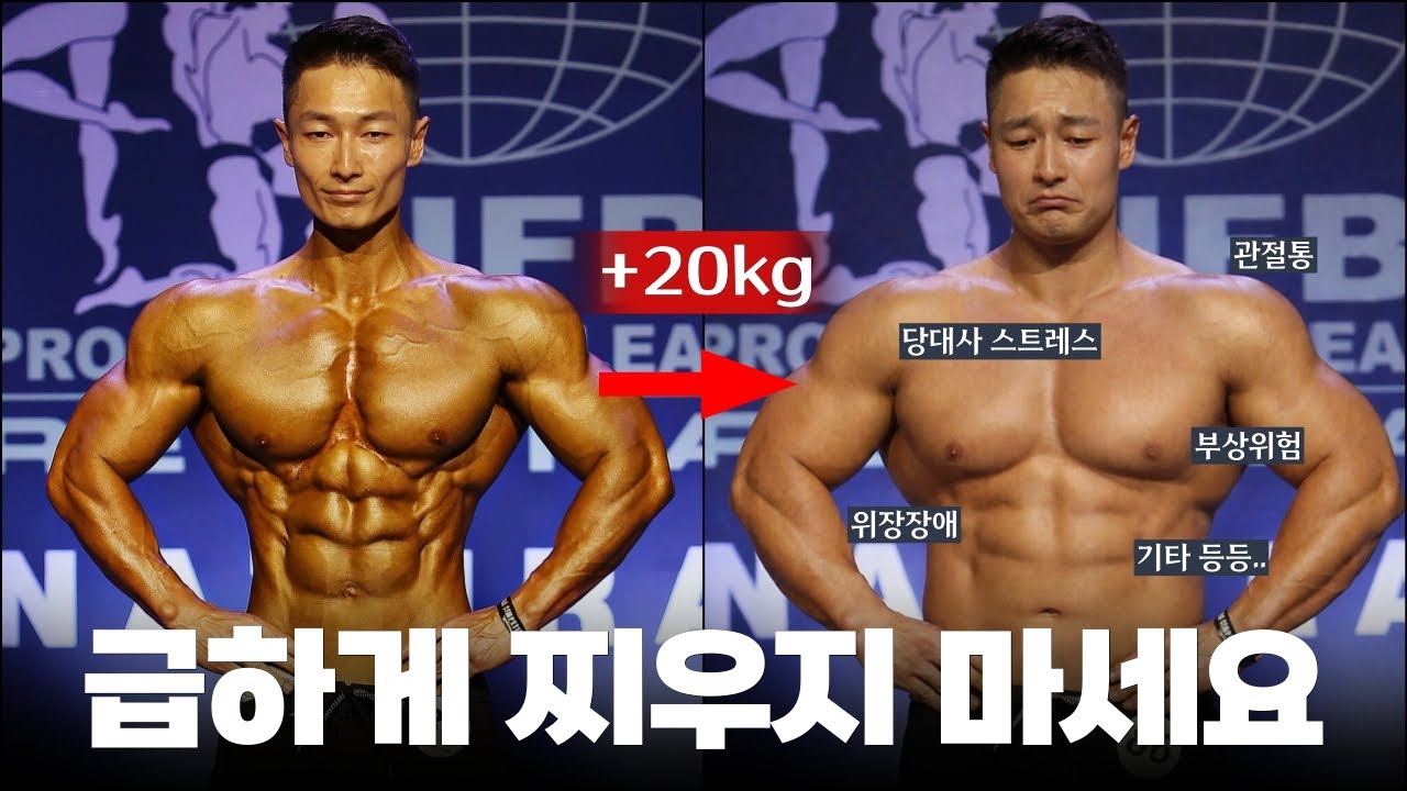 벌크업 이래도 하시겠습니까?ㅣ올바른 벌크업 방법 및 주의사항