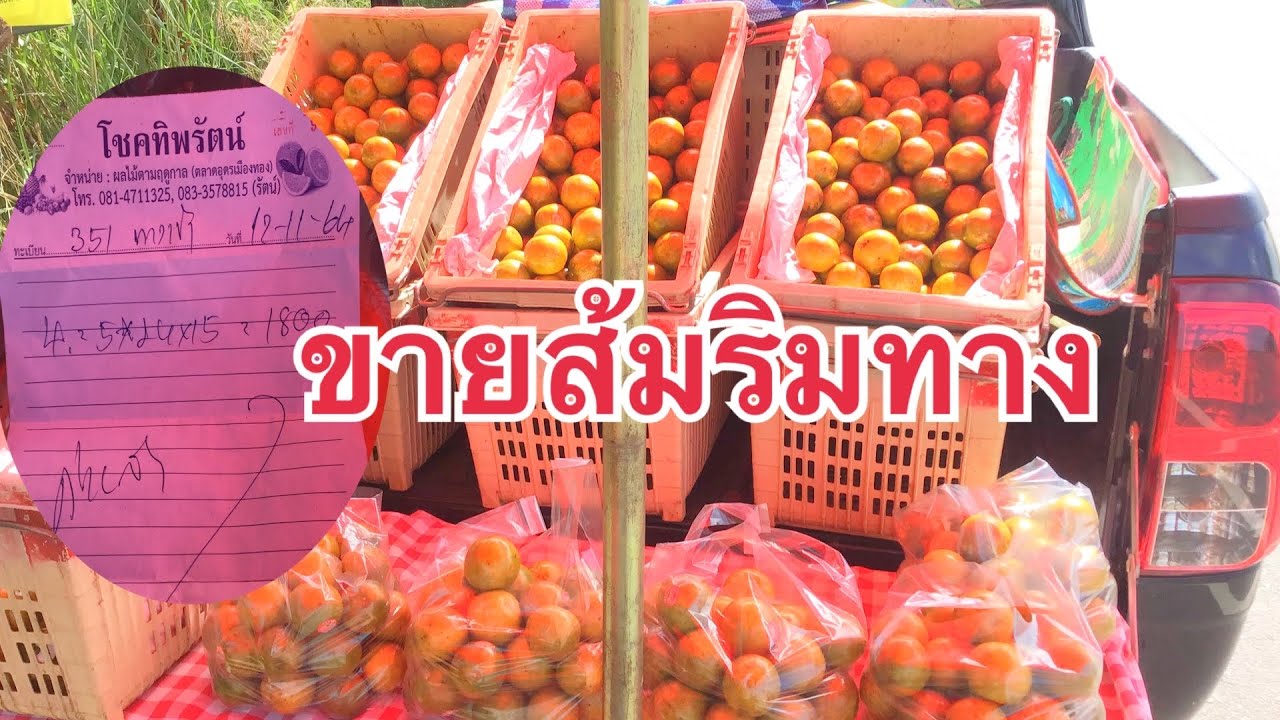 แนะนำอาชีพขายส้มริมทาง คำนวนกำไรต้นทุนให้ด้วย