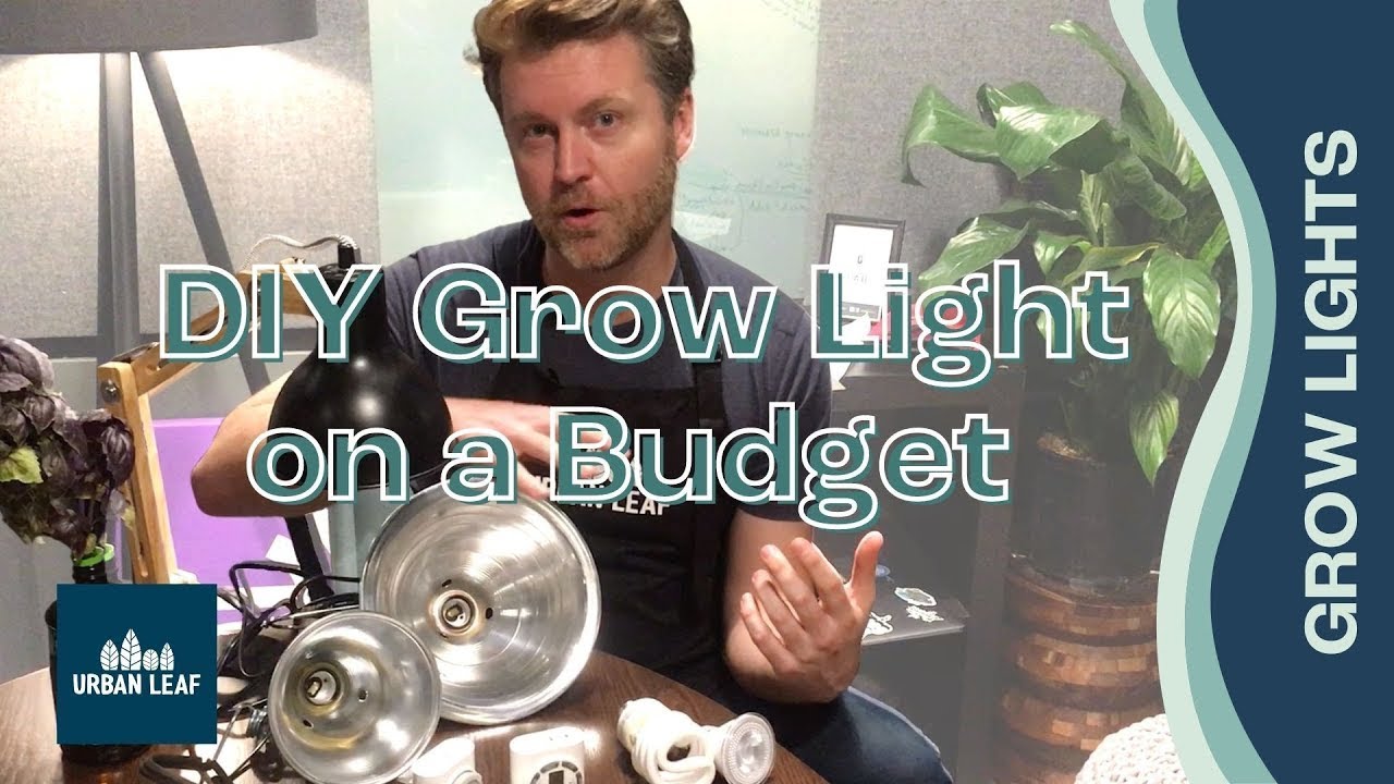 How To Set up a Grow Light DIY for Less Than $40