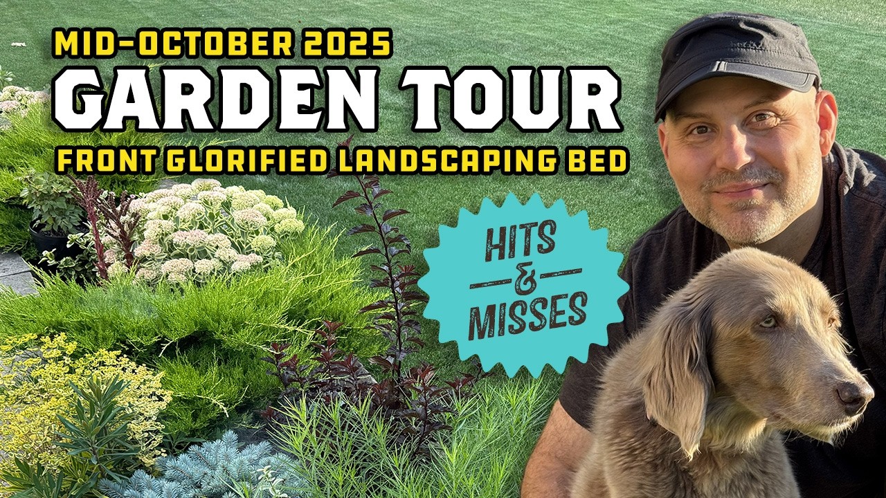 Garden Tour Hits & Misses October 2025 Zone 6B Michigan