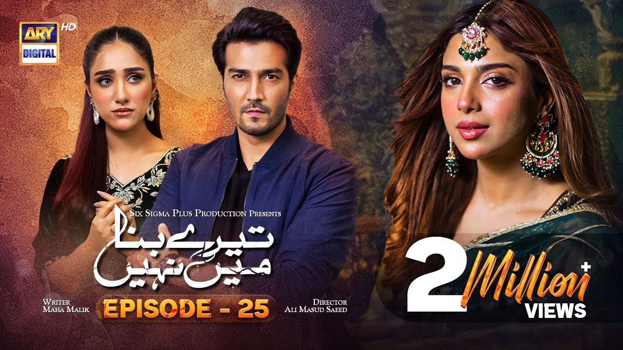 Tere Bina Mein Nahi Episode 25 | 13th June 2023 (English Subtitles) | ARY Digital