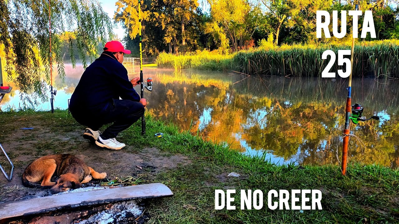 PESCA : EN LUGAR CERCA  ...ES CUESTION DE PACIENCIA 