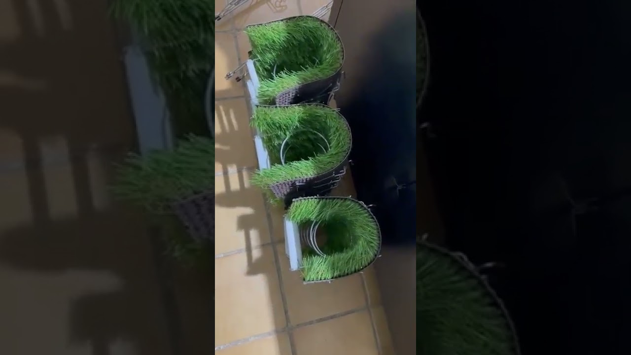 Nidos para jilgueros mayo con vegetación artificial