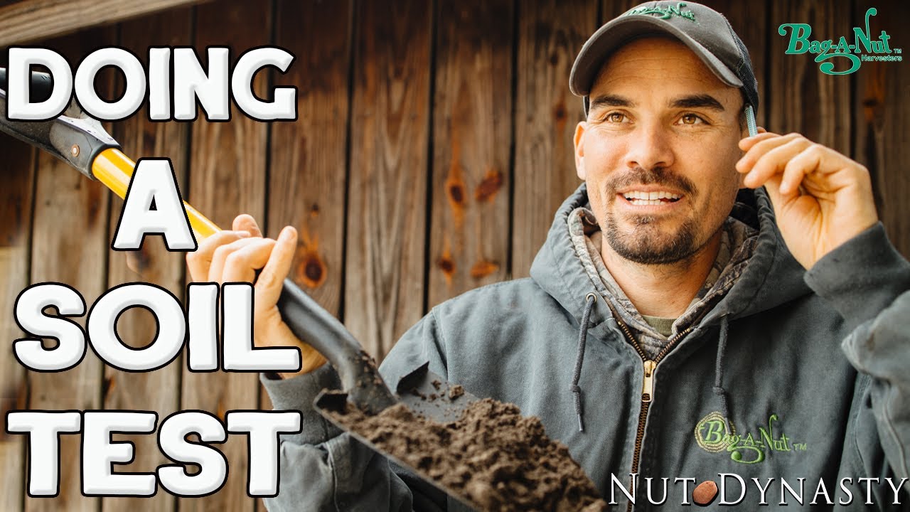 Taking a Soil Test In Your Pecan Orchard