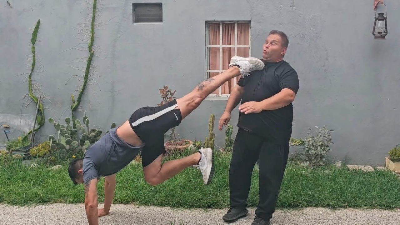 COMO DEFENDERTE Y PELEAR IMITANDO ANIMALES