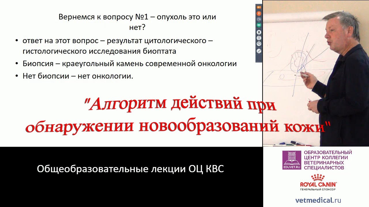 Пака М. В. - Алгоритм действий при обнаружении новообразований кожи