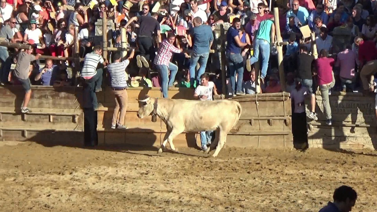 Capeas 2016 2ª Parte