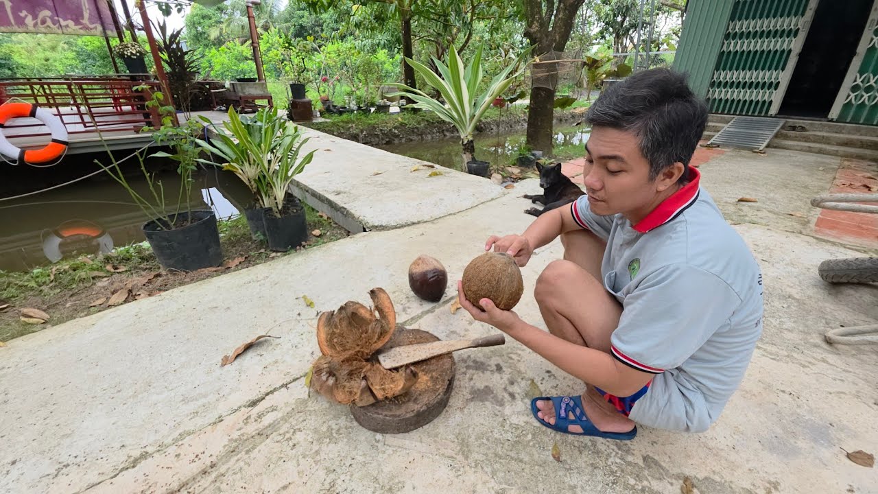 CUỘC SỐNG BÌNH DỊ KHÔNG ỒN ÀO CHĂM SÓC VƯỜN RAU ĂN TẾT CHẶT DỪA KHÔ ĐỂ DÀNH LÀM BÁNH QUÊ MIỀN TÂY
