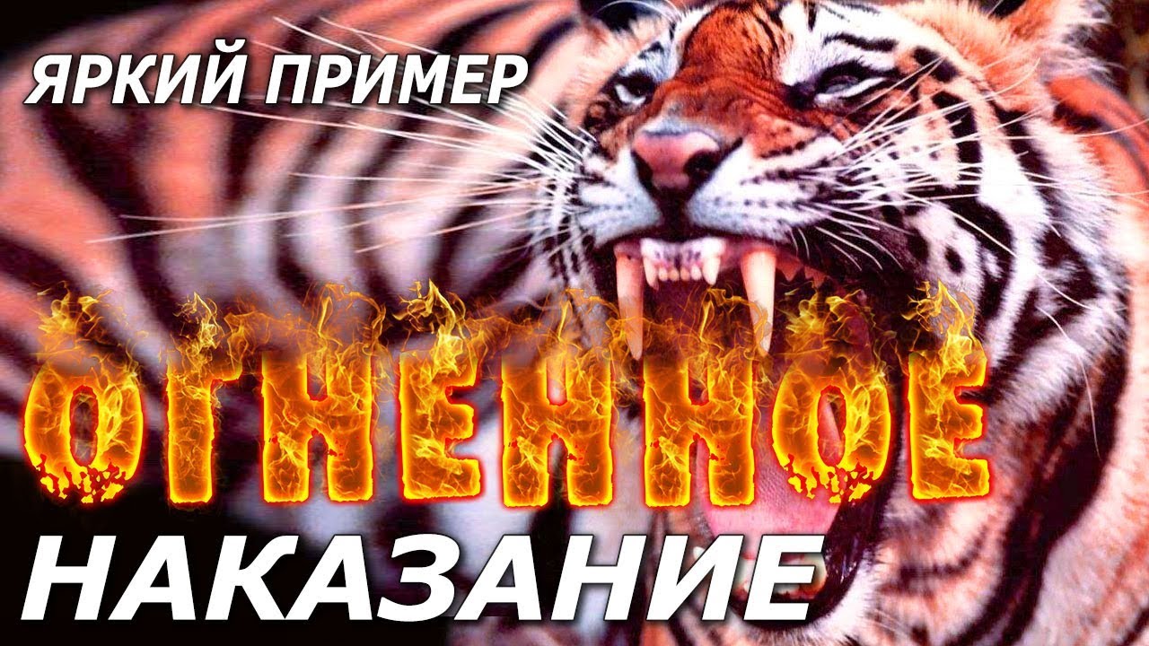 Огненное Наказание Яркий Пример. Астролог Дарья Высоцкая.