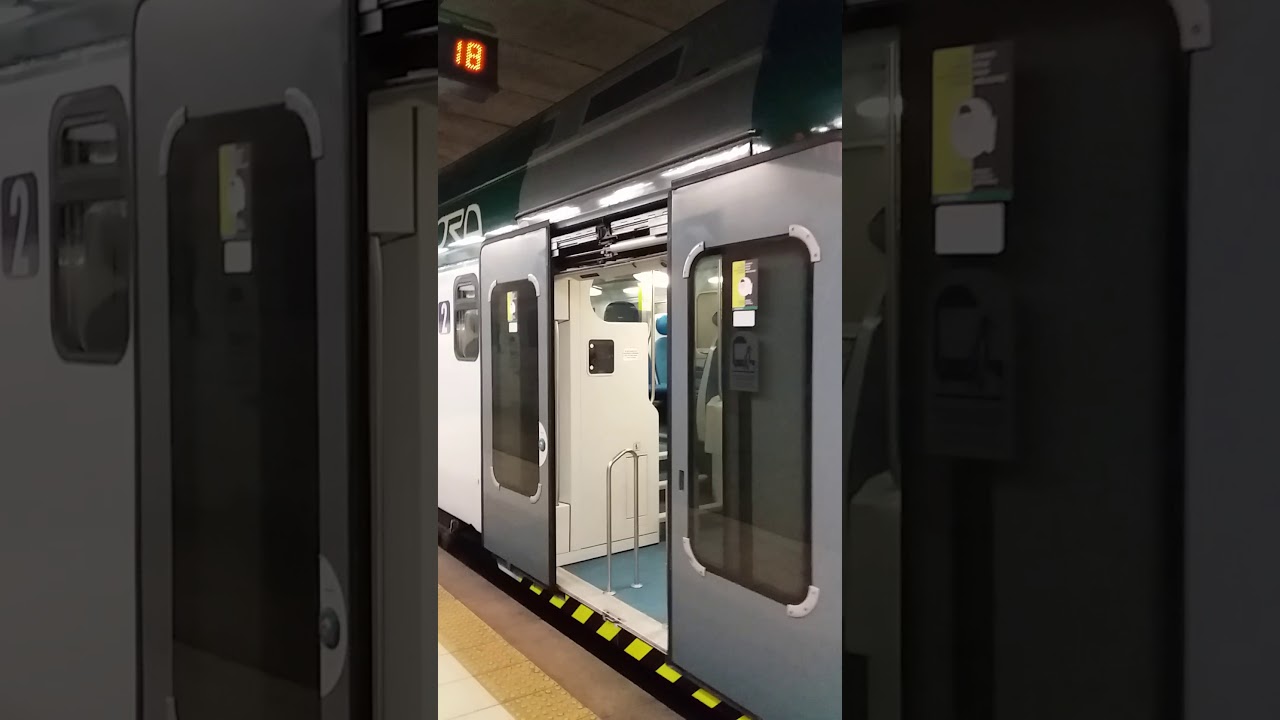 Un arrivo e partenza del Doppia di TAF a Milano Nord Domodossola- Fiera