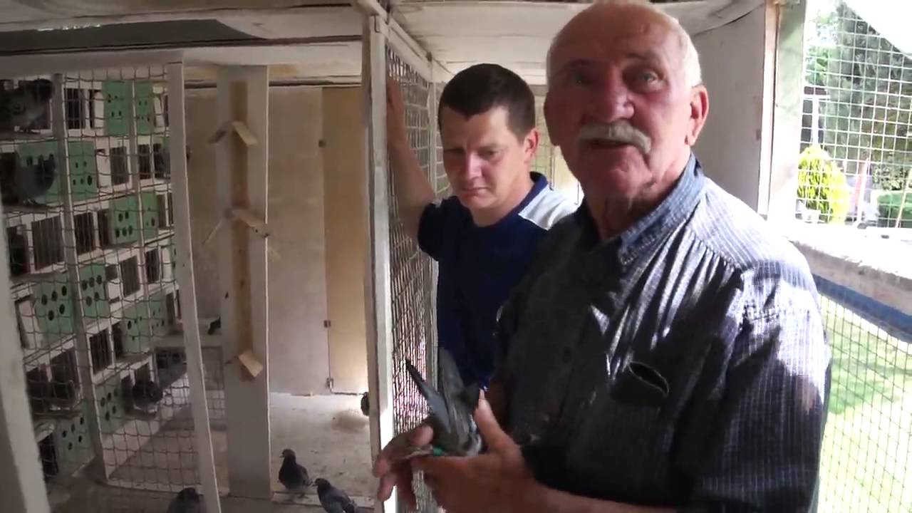 Józef i Tomasz Wszelak - Oddział PZHGP 0241 Iława - 07.06.2015r.