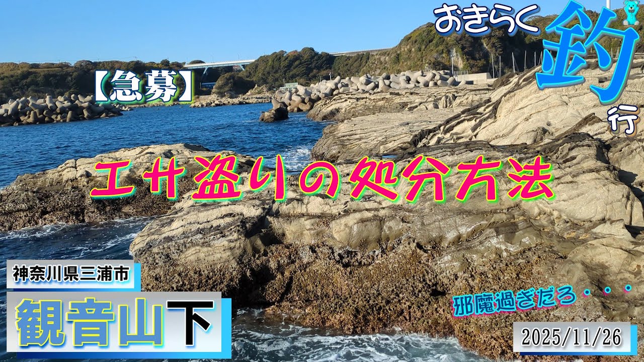 【#三浦半島・#観音山下】#おきらく釣行【2025/11/26】
