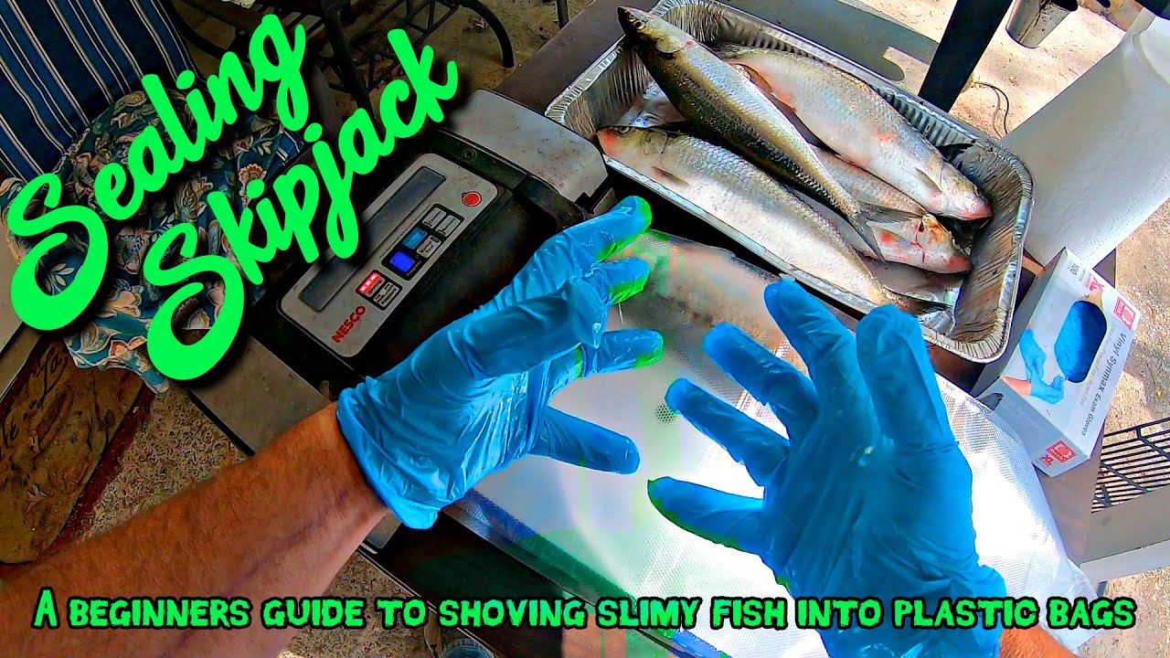 SkipJack Herring Bait Preservation!