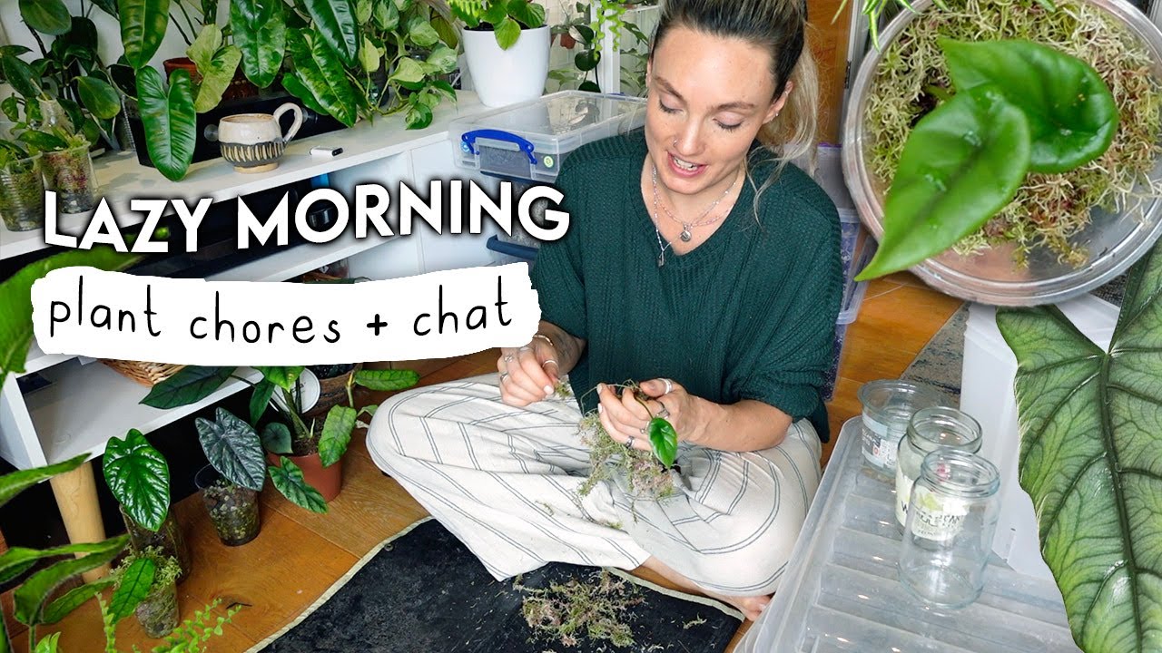 Chilled Coffee Morning ft. Plants + Planty Chat ☕️🌿