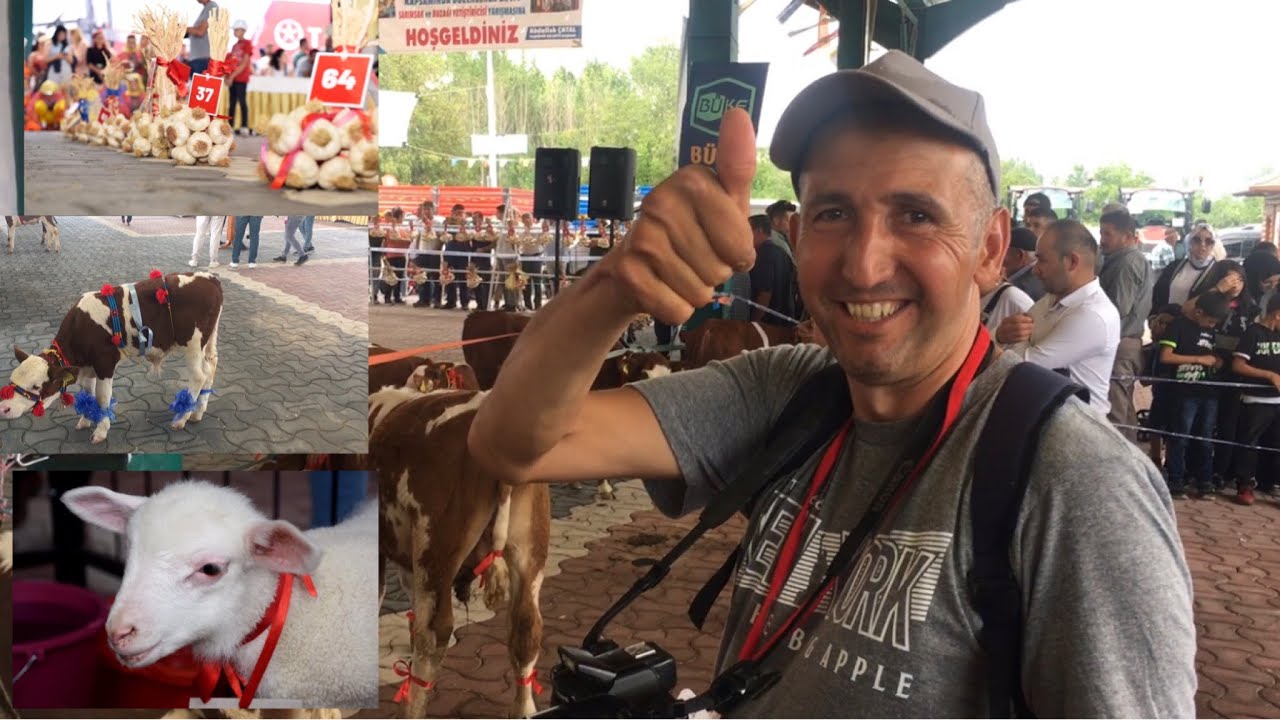 Taşköprü sarımsak festivali-erkan davulcuyla cekim yapmakta varmış buza,kuzu&sarımsak yarışması