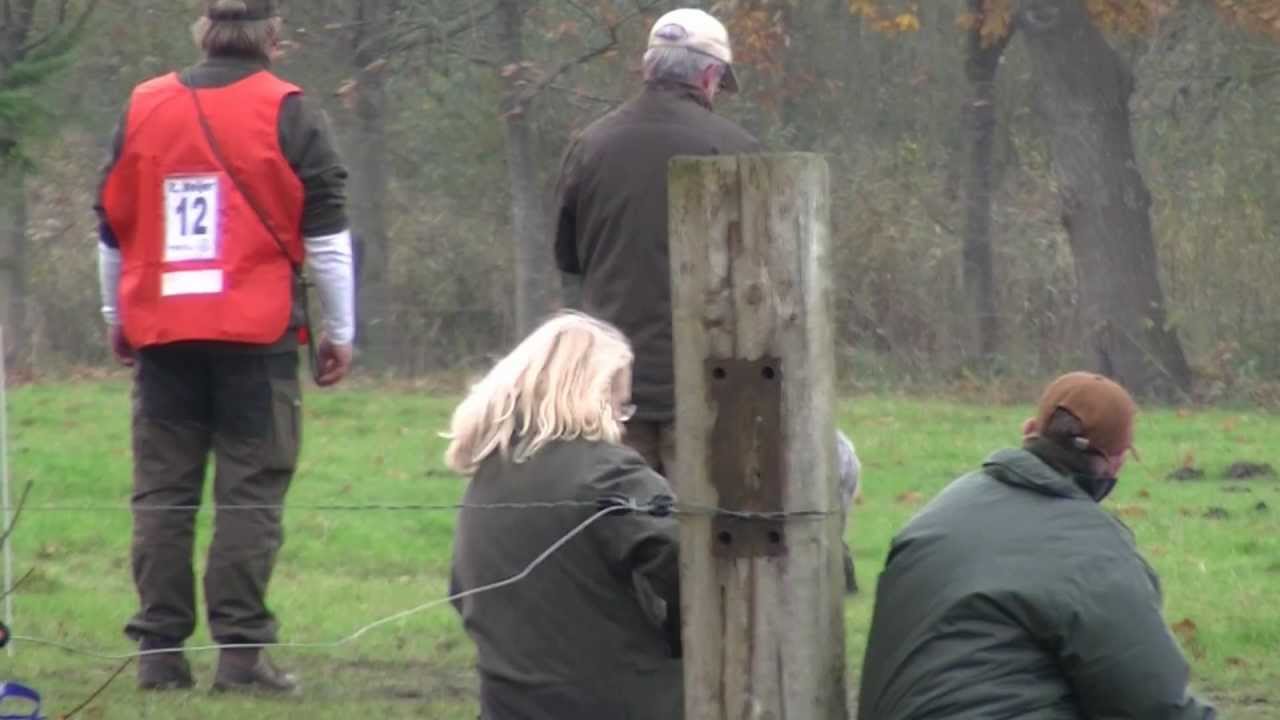 Nimrod 2012 A