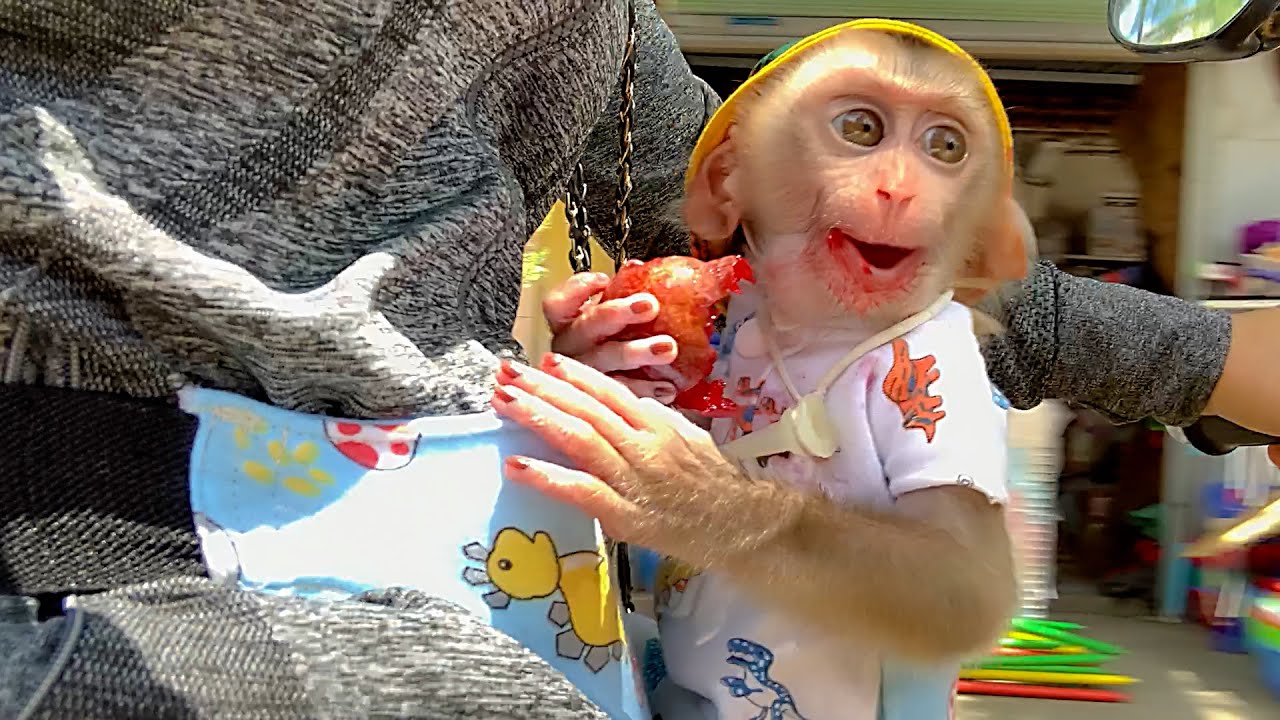 Monkey Puka and Mom went to buy Fruit
