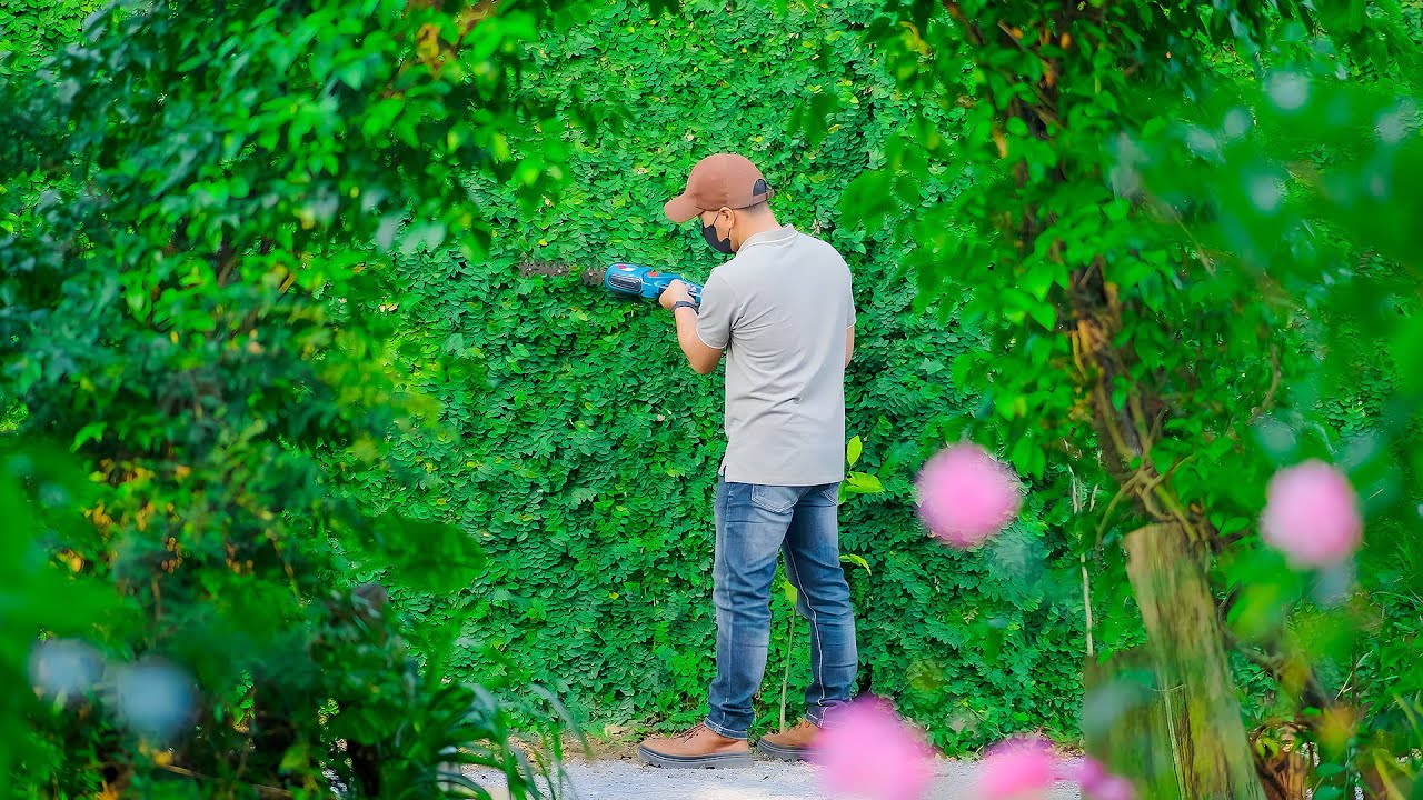 Trimming Hedges and Making Local Specialty Orange Cake - A Truly Relaxing Day