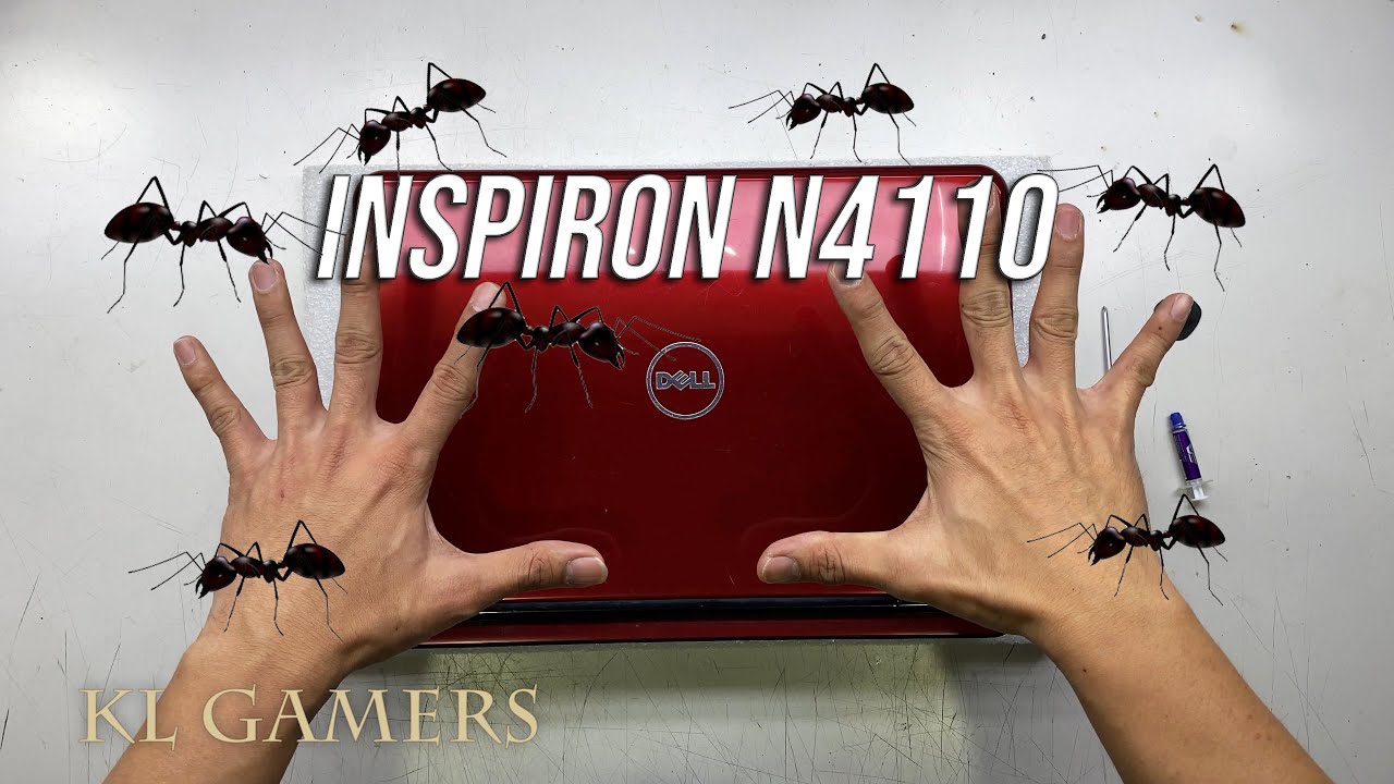 ANTS inside DELL Inspiron N4110 Notebook laptop disassemble Replace Thermal Paste