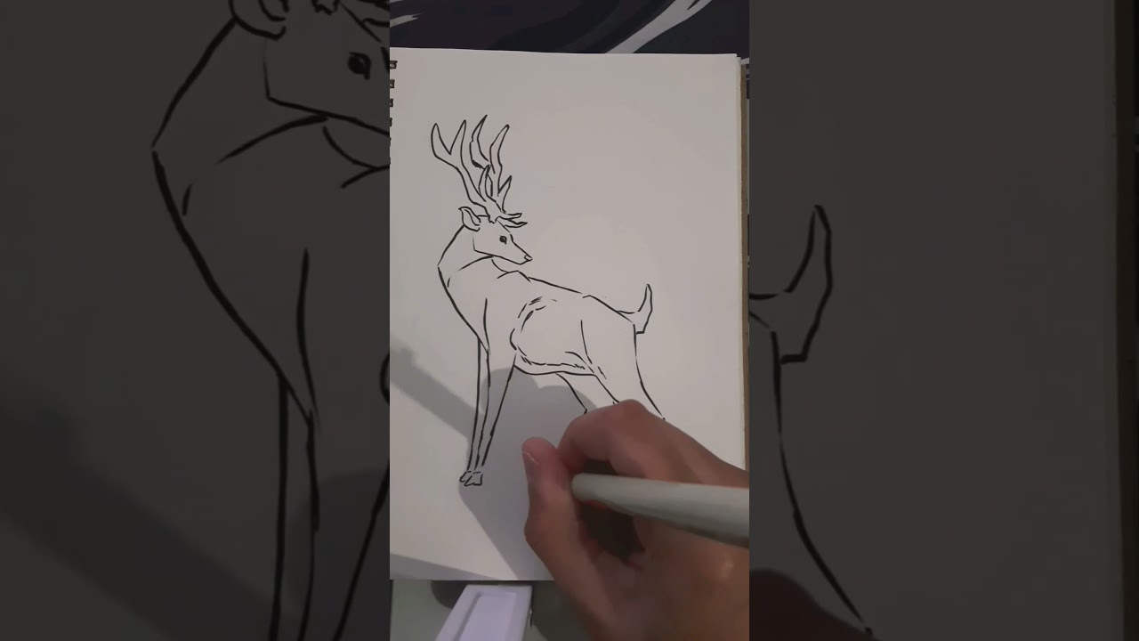 Aproveitando o tempo livre                    #art #sketchbook #animals #pencildrawing #viralshorts