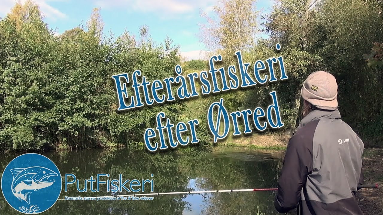 Efterårsfiskeri efter Ørred
