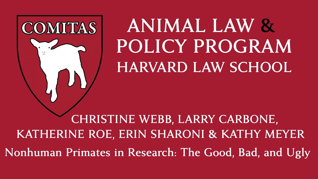 02/08/23: Nonhuman Primates in Research: The Good, Bad, and Ugly