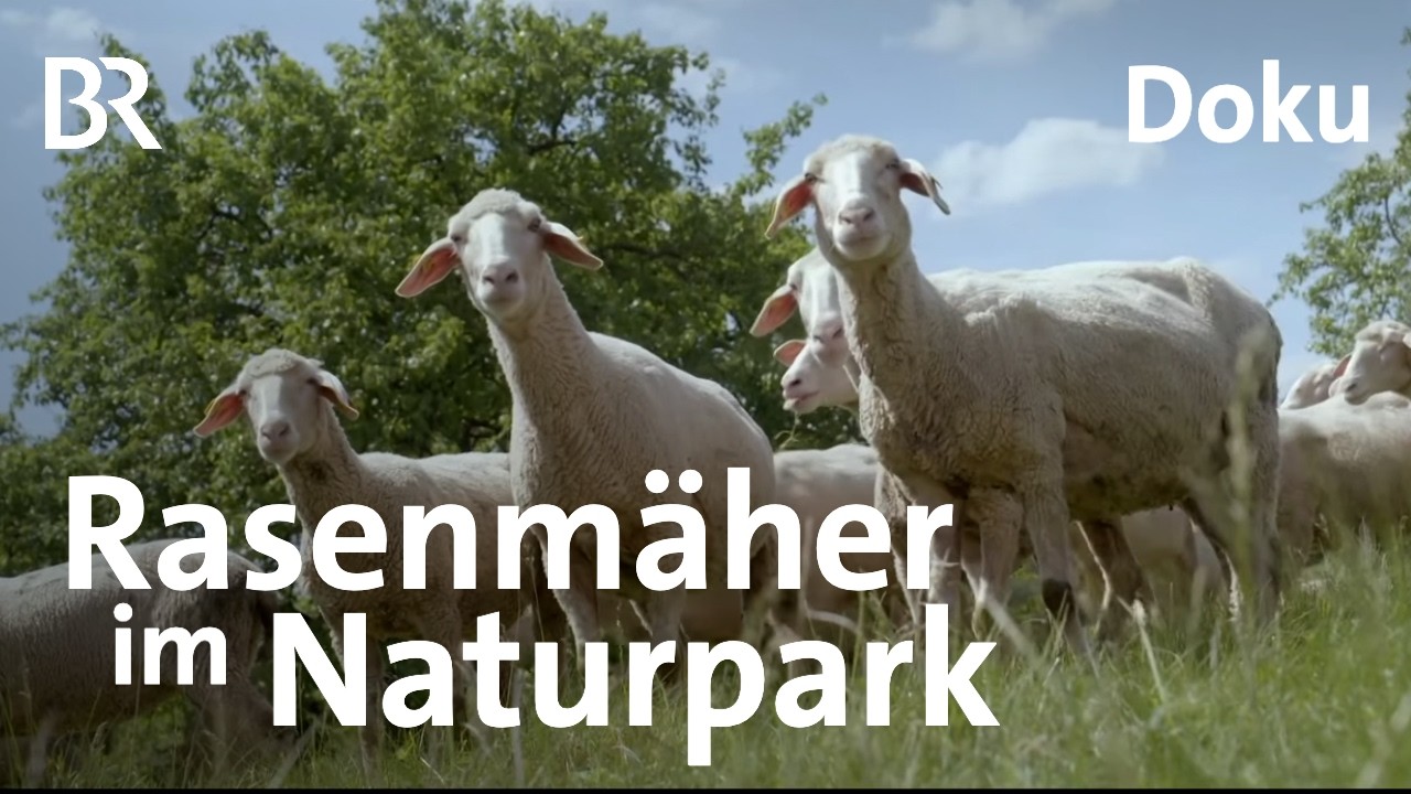 Der Naturpark Frankenhöhe | Versteckte Paradiese | Bayern erleben | Doku | BR