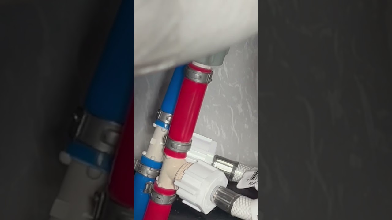 Problems with our wolf pup rv