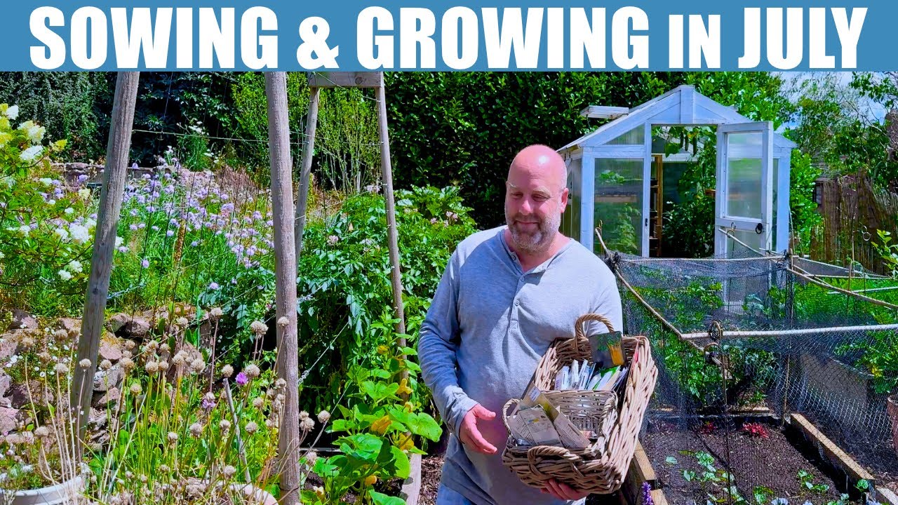 July Garden: Sowing and Growing in Beds & Greenhouse
